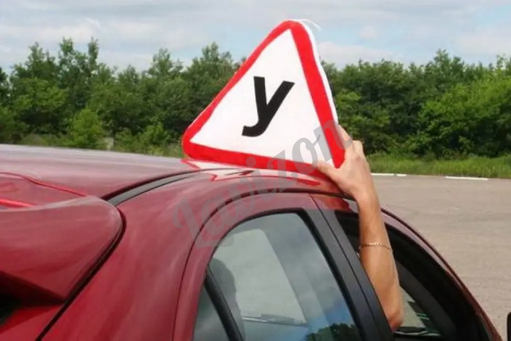 Помощь в получении водительского удостоверения