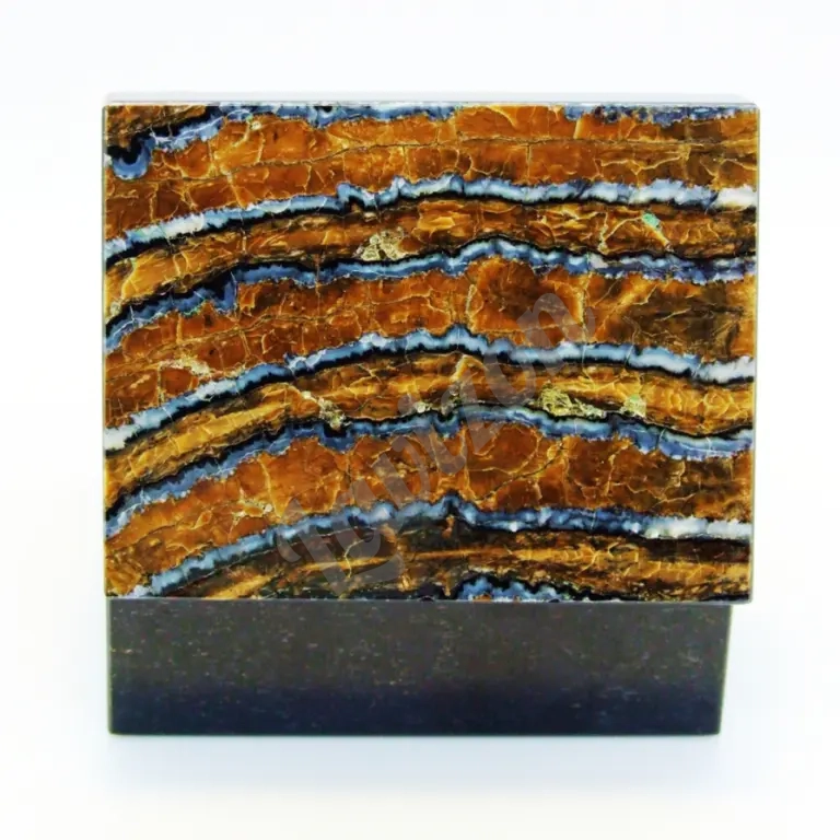 Зуб Мамонта - Коллекционная Шкатулка