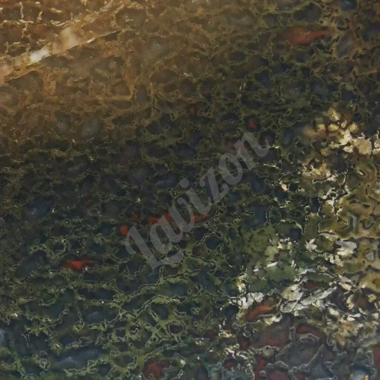 Динозавр - Коллекционная Шкатулка из окаменевшей кости - камня Динобон