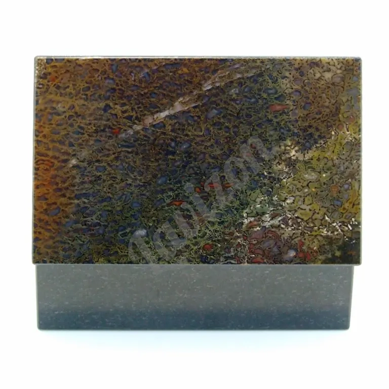 Динозавр - Коллекционная Шкатулка из окаменевшей кости - камня Динобон