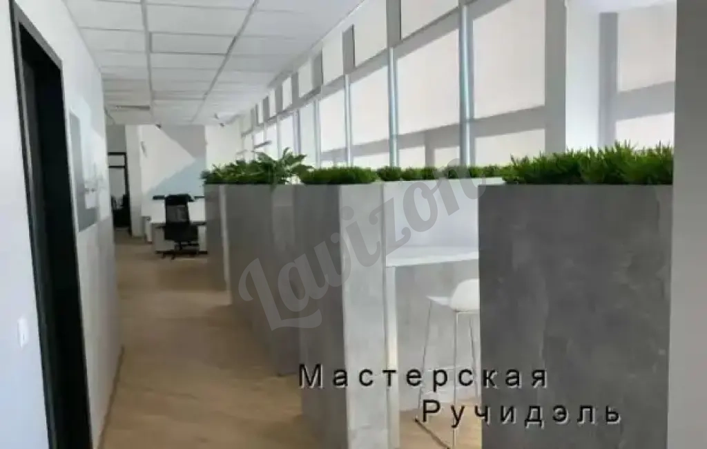 Кашпо-перегородка для офиса или кафе