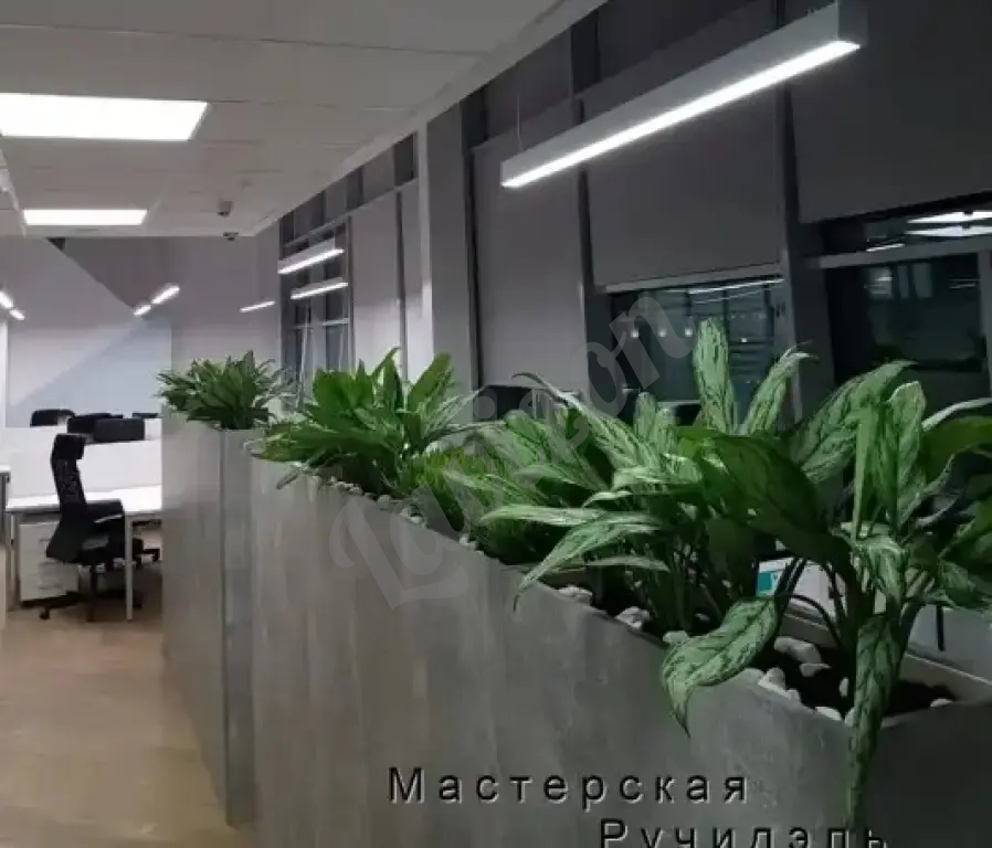 Кашпо-перегородка для офиса или кафе