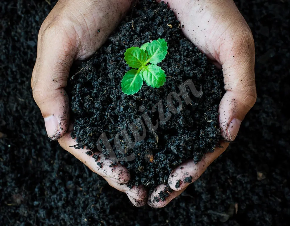 В мешках и навалом сапропель с озера Неро в Ярославле